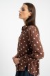 Bluzka Vera Brown Dots AW25